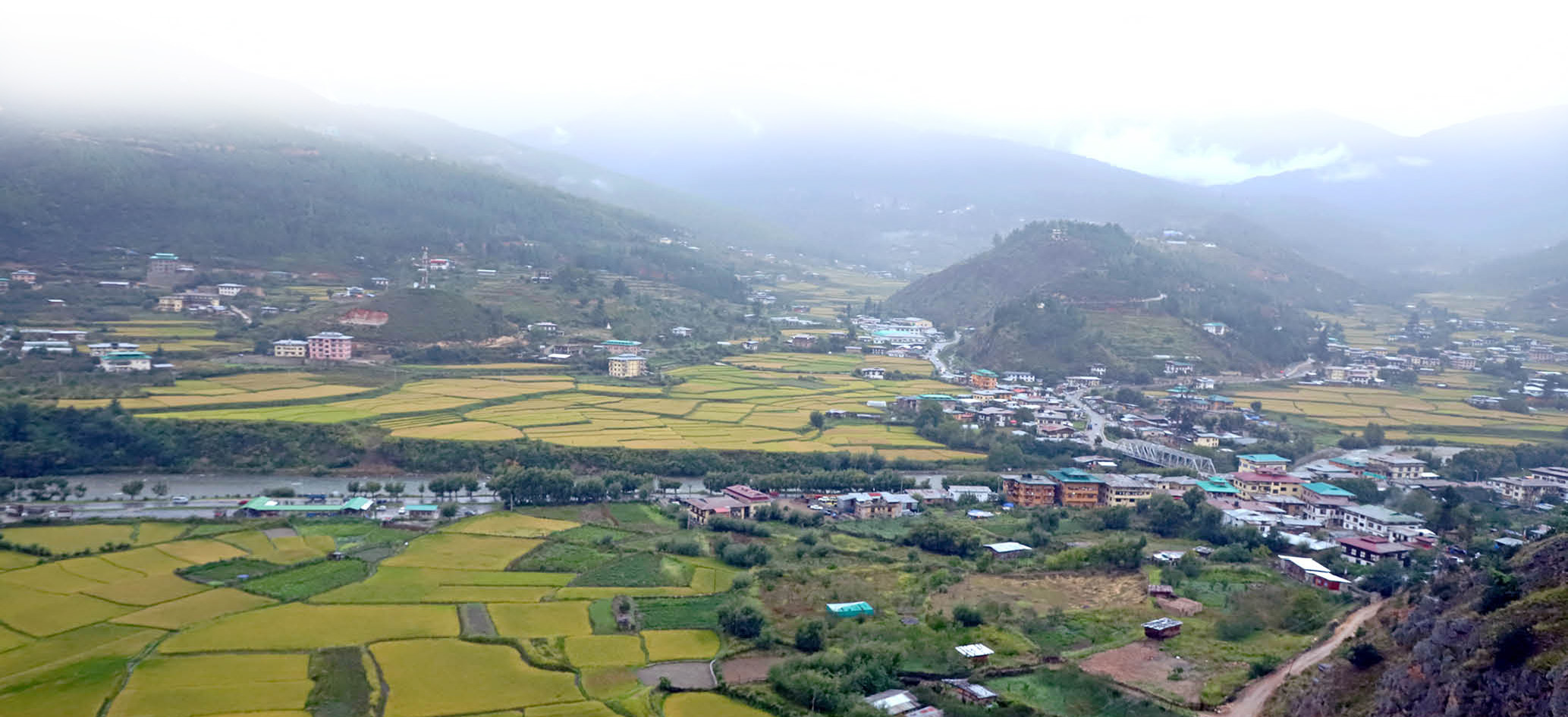 Tashi Ling Slider- Attraction2